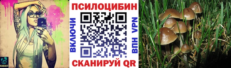 Псилоцибиновые грибы Psilocybine cubensis  купить наркоту  Менделеевск 